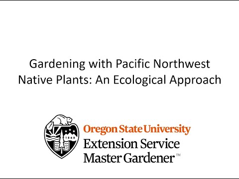 Video: Northwest Native Garden: piante per i paesaggi della regione nordoccidentale