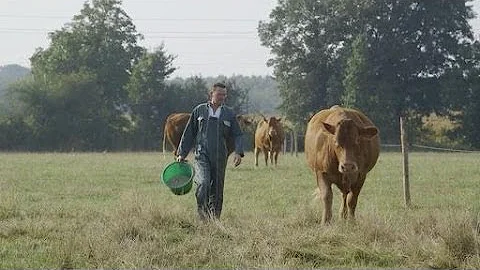 Quel sont les types de viande ?