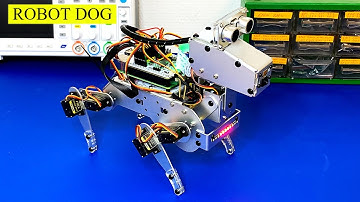 Verbazingwekkend!!! Ik heb een robothond gebouwd en er een echte hond van gemaakt, Raspberry Pi