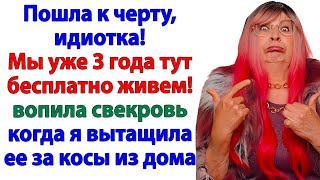 видео: Без меня всё развалилось! орала свекровь и вещи вылетели в окно! картинка: Без меня всё развалилось! орала свекровь и вещи вылетели в окно!