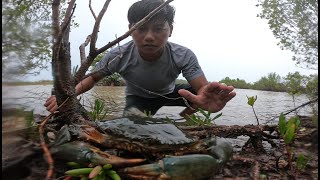 Catching King Crab Under Coconut Trees On The Beach After Raining