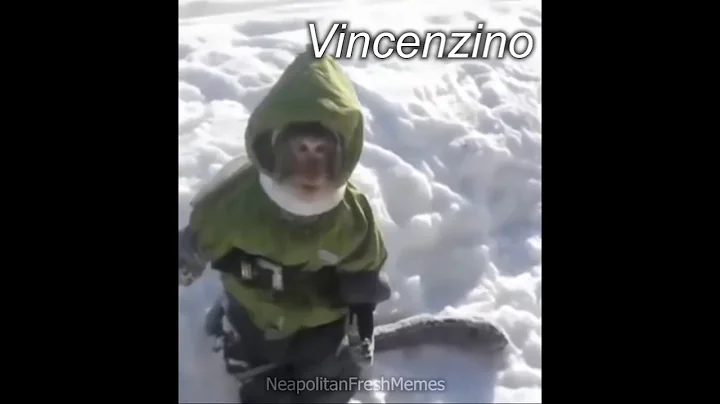 Vincenzino from NeapolitanFreshC...  (Extended)