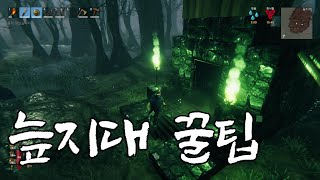 [발헤임] Valheim 늪지대 관련 꿀팁