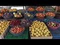 Seasonal fruits and vegetables with the unique rich taste Farmers market Yerevan Nor Norq Armenia