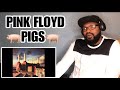 Pink Floyd - PIGS | REACTION