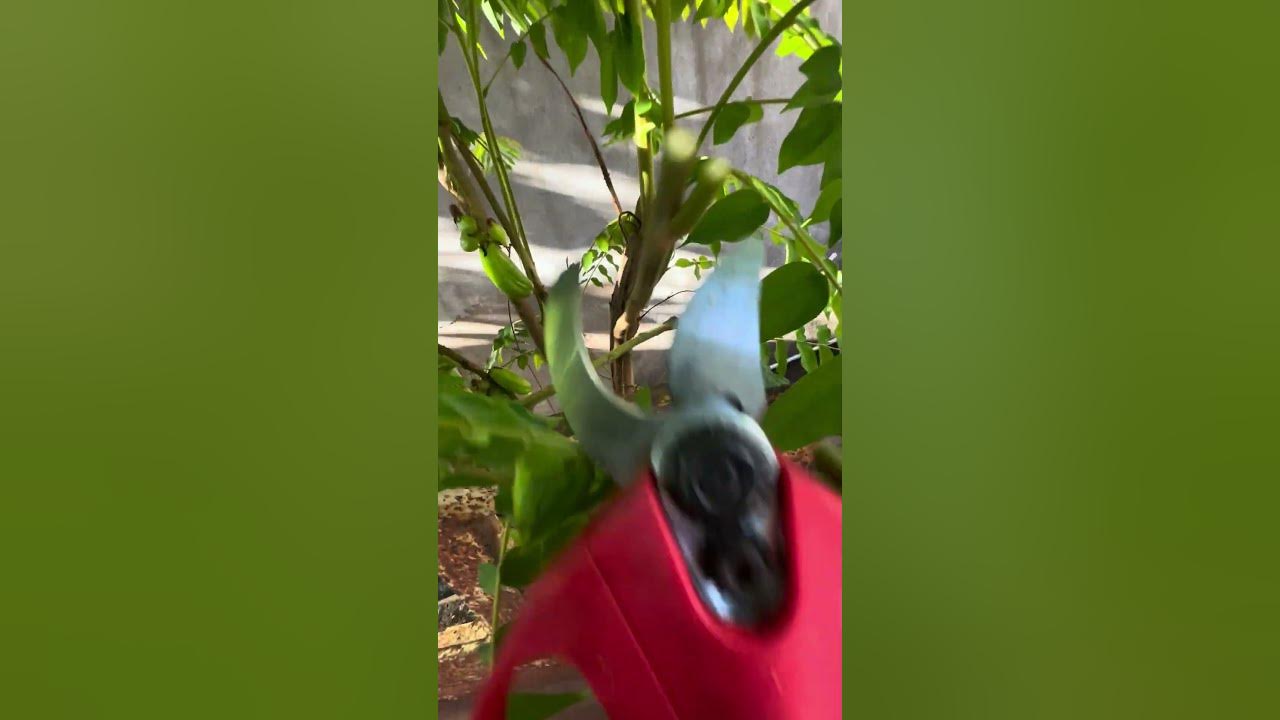 electric scissors easy use save time tool P1811 YouTube