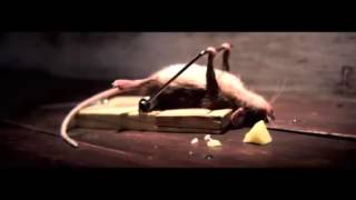 Funny Cheese Ad | Real Life Mighty Mouse