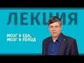 Лекция: Мозг и еда, мозг и голод