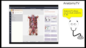 Intro to the Library Tutorial