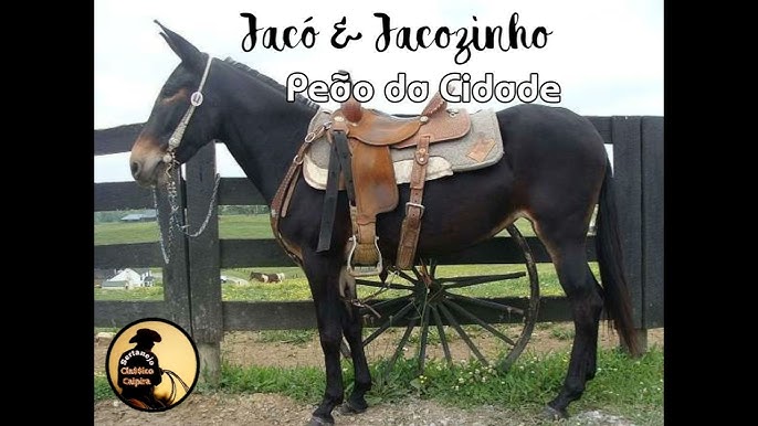 O Peão e o Ricaço - Jacó e Jacozinho 