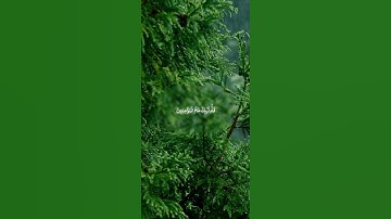 تلاوة خاشعة | إِنَّ الْمُنَافِقِينَ فِي الدَّرْكِ الْأَسْفَلِ مِنَ النَّارِ | بصوت ياسر الدوسري