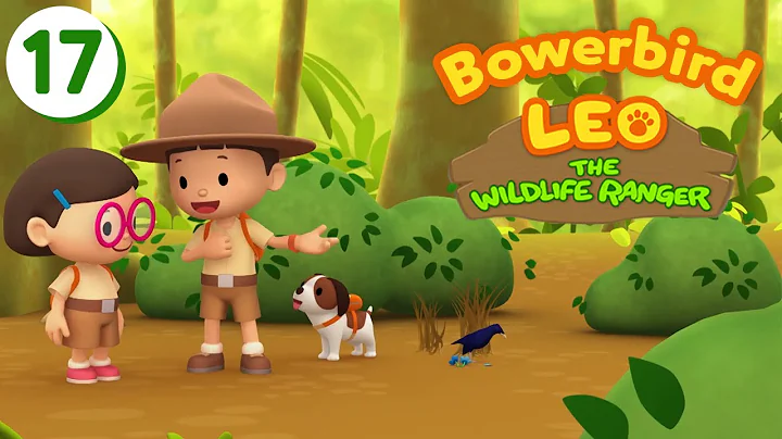 Satin Bowerbird - Leo The Wildlife Ranger (Episode 17)