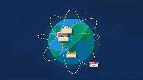 SEED+ CEFTA TRACES NT