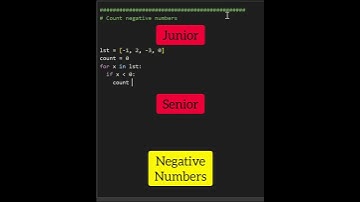 Junior Vs. Senior Python Developer #shorts #python #programming #coding