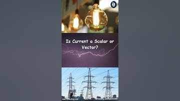 ⚡ Is Electric Current a Scalar or Vector? | Physics Explained for Class 11
