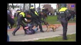 politie geweld Amsterdam