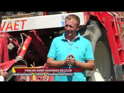 Video: Pancar Rulonlari