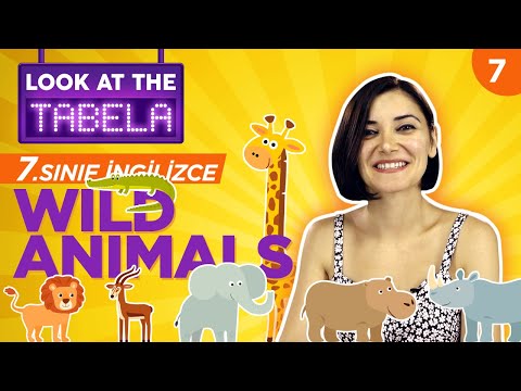 7. Sınıf İngilizce 4. Ünite Konu Anlatımı ve Kelimeleri: Wild Animals | Duygu Şenkayalı #7 (2021)