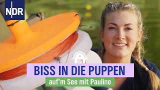 Download Lagu Nachtangelaktion auf Wels | Folge 14 | NDR auf'm See mit Pauline MP3 Download Lagu Nachtangelaktion auf Wels | Folge 14 | NDR auf'm See mit Pauline MP3