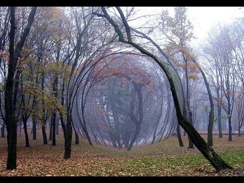 Аномалии сталкер как сделать фото 427