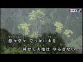 心・花は泣かない