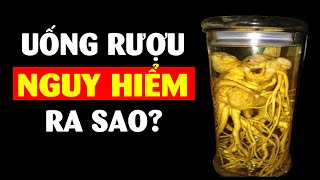 Tổng hợp tất cả kiến thức về rượu ít người biết