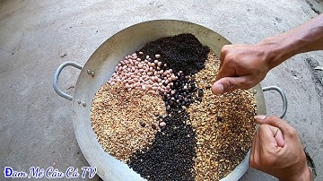 Mồi câu cá trôi chép trắm và rô phi mồi ngũ cốc. #87