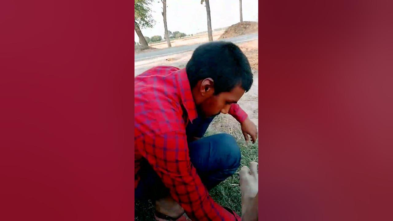 bhojpuri holi gana manoj tiwari