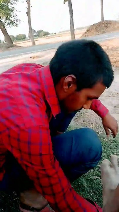 manoj tiwari holi video