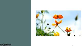 Media pembelajaran Struktur dan Kaidah Kebahasaan Teks Berita (bagian 1)