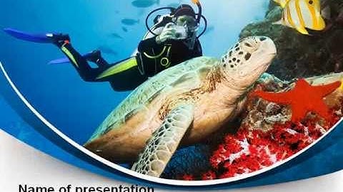 Diving Photo Shooting PowerPoint Template by PoweredTemplate.com