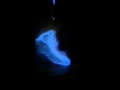 Whoosh Bottle Slow Motion