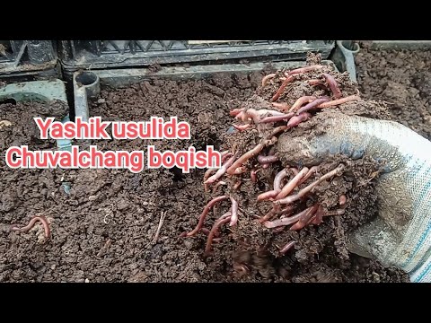 Video: Biodinamik dehqonchilik usuli nima?