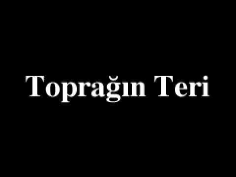 Toprağın Teri (1981 Türk Filmi)