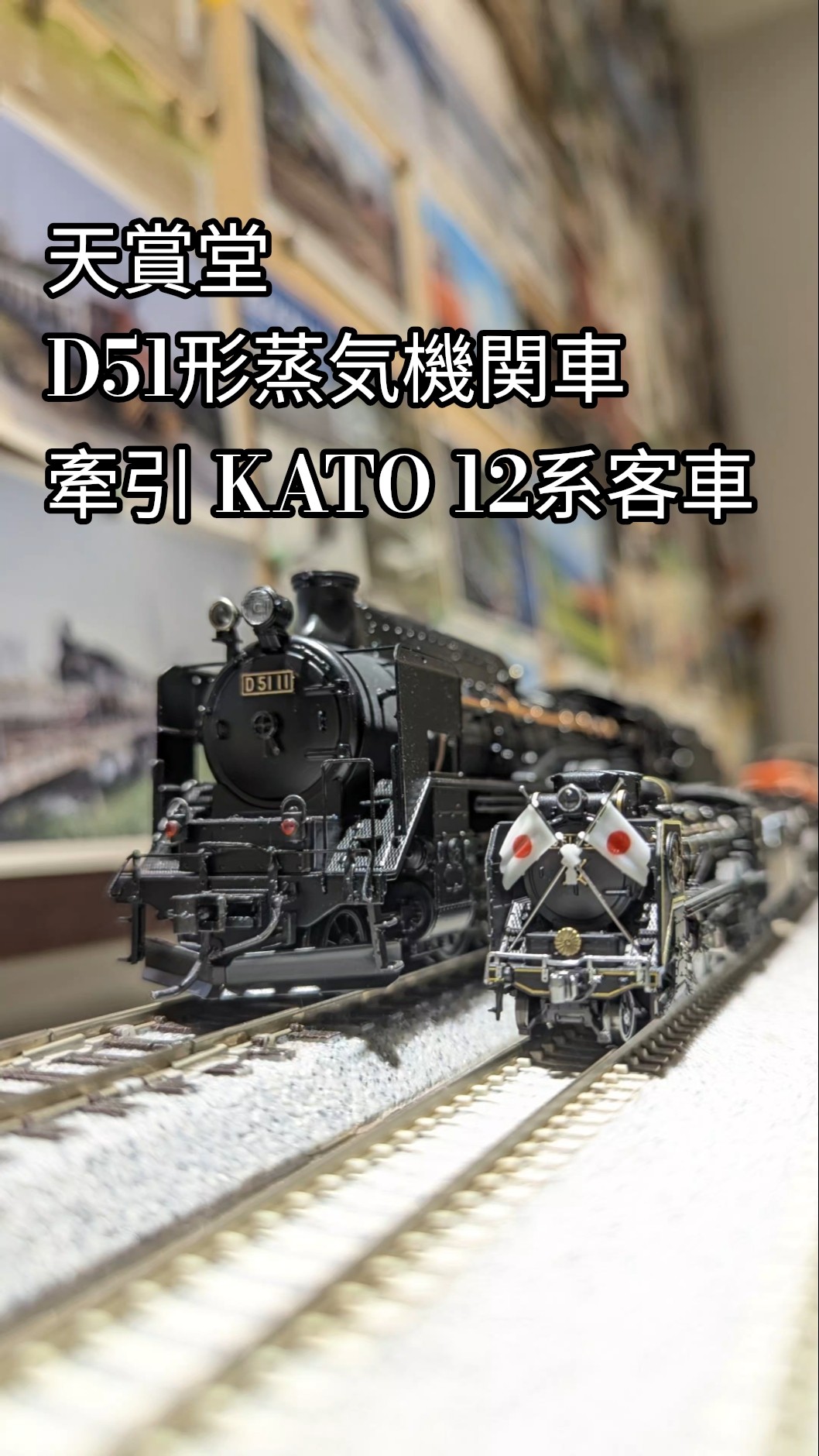 天賞堂 D51形蒸気機関車牽引 KATO 12系客車 #鉄道 #蒸気機関車 #d51