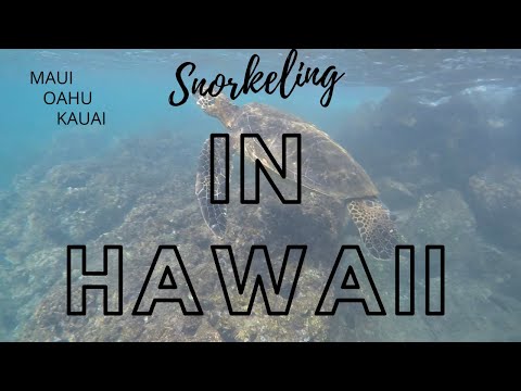 Video: Outdoor Gids Naar Hawaii: De Beste Staatsparken