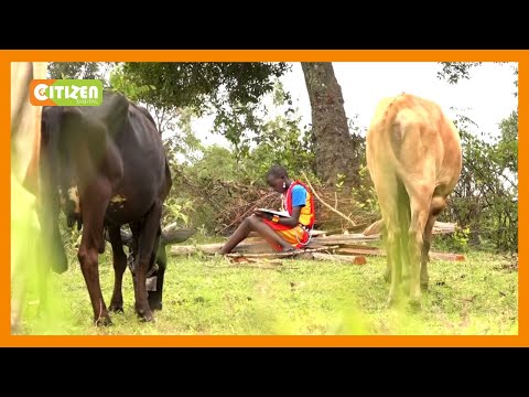 Video: Ni Nani Anayepaswa Kuweka Wanyama Wa Kipenzi Katika Talaka?
