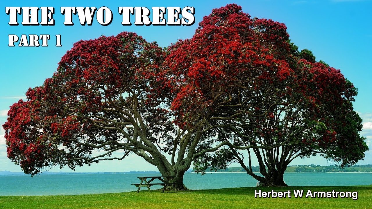 ⁣The Two Trees - Part 1 by Herbert W Armstrong