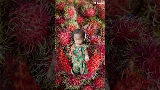 Rambutan Terbelah Dua Sangat Indah  pohon rambutan buah kebun