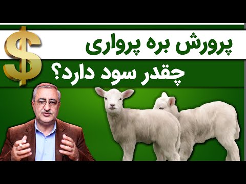 تصویری: رطوبت در خانه های تهویه مطبوع چقدر باید باشد؟