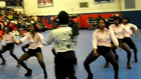 Alpha Epsilon Chapter of Alpha Kappa Alpha Sorority Inc. 2011