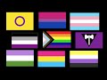 33. Pride Flags Explained - Degenerate Fox Theatre Online