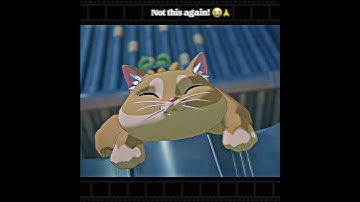 "not this silly cat again" | Zenless Zone Zero