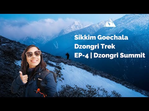 Video: Žygių į Dzongri viršūnę Sikkime vadovas