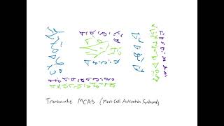 Light Language: Transmute MCAS (Mast Cell Activation Syndrome)