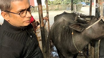 IV, IM & Subcut Injection कैसे करें? Mucous Membrane Examination of ANIMALS ! Dr. Shanker Singh