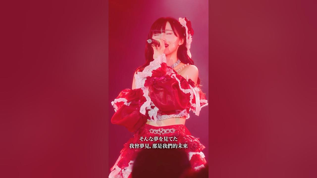 深紅の薔薇,一瞬間綻放🌹 深紅の薔薇,一瞬間綻放🌹