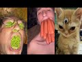 THE FUNNIEST MEMES Of September 2023 | Try Not To LAUGH 😂 | #6