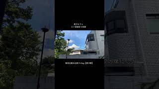 夙川おすすめカフェ/三ツ豆珈琲#shorts