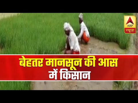 Ambala: Farmers Sowing Seeds In Hope Of Monsoon | ABP News